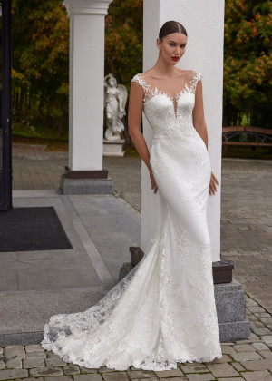 Cap Sleeves Ivory Lace Tulle V Back Chic Wedding Dress